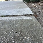 Curb & Sidewalk Issues at 1265 Ellis St, San Francisco 94109