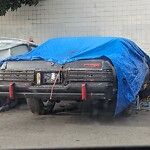 Abandoned Vehicles at 701–1399 Donner Ave, San Francisco 94124