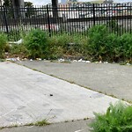 Street or Sidewalk Cleaning at 117 Elmira St, San Francisco 94124