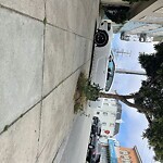 Blocked Driveway & Illegal Parking at 1801 Taraval St, San Francisco 94116