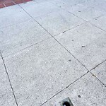 Curb & Sidewalk Issues at 3725 Buchanan St