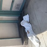 Street or Sidewalk Cleaning at 479 33rd Ave, San Francisco 94121