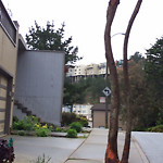Tree Maintenance at 165 Berkeley Way