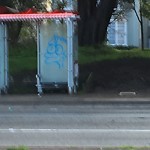 Graffiti at Intersection Of Fulton St & Park Presidio Blvd