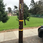 Park Requests at Intersection Of 28th Ave & Vicente St