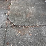 Curb & Sidewalk Issues at 678 Brussels St