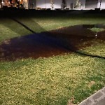 Flooding, Sewer & Water Leak Issues at 737 Illinois St