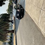 Street or Sidewalk Cleaning at 290 Dolores St Mission District