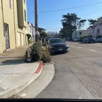 Holiday Tree Removal at Intersection Of 38th Ave & Vicente St