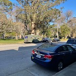 Blocked Driveway & Illegal Parking at 1453 Oak St