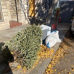 Street or Sidewalk Cleaning at 3366 22nd St