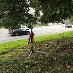 Curb & Sidewalk Issues at Unknown #1006005445