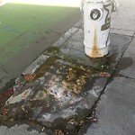 Flooding, Sewer & Water Leak Issues at 540 Howard St