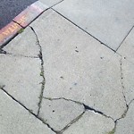 Curb & Sidewalk Issues at 1571 Van Dyke Ave