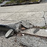 Curb & Sidewalk Issues at 130 Lenox Way West Of Twin Peaks
