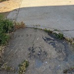 Curb & Sidewalk Issues at Unknown #1001215693