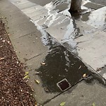 Flooding, Sewer & Water Leak Issues at 3035 Van Ness Ave