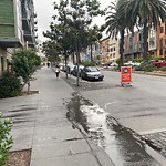 Flooding, Sewer & Water Leak Issues at 62 Dolores St