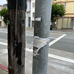Illegal Postings at 207 10th Ave