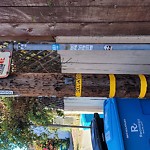 Illegal Postings at Quane St & 23rd St Dolores Heights Sf
