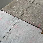 Curb & Sidewalk Issues at 2015 Steiner St