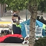 Encampment at 701 Divisadero St
