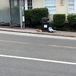 Garbage Containers at 306 Parnassus Ave