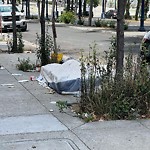 Street or Sidewalk Cleaning at 120 Haight St