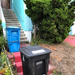 Garbage Containers at 1318 35th Ave