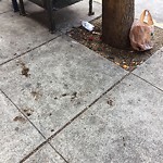 Street or Sidewalk Cleaning at 90 Mccoppin St