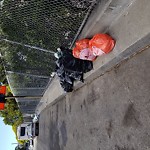 Street or Sidewalk Cleaning at Hester Ave Little Hollywood Sf