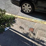 Street or Sidewalk Cleaning at 1471 Green St
