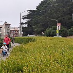 Park Requests at Qg9 R+2 F Golden Gate Park