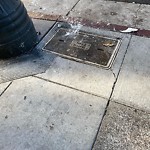 Street or Sidewalk Cleaning at 1114 Sutter St