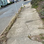 Curb & Sidewalk Issues at 2592 Sunset Blvd
