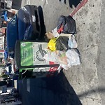 Garbage Containers at 1371 Grant Ave North Beach