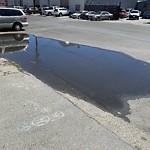 Flooding, Sewer & Water Leak Issues at 1484–1498 Davidson Ave, San Francisco Ca 94124, United States
