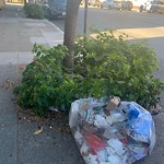 Street or Sidewalk Cleaning at 722 South Van Ness Ave