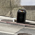 Garbage Containers at 802 Sacramento St