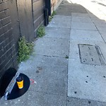 Street or Sidewalk Cleaning at 1615 Oakdale Ave