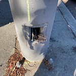 Streetlight Repair at 1140 Golden Gate Ave