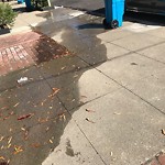 Flooding, Sewer & Water Leak Issues at 579 11th Ave
