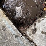 Flooding, Sewer & Water Leak Issues at 3832 Balboa St Outer Richmond