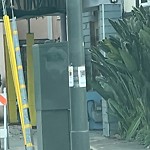 Illegal Postings at Intersection Of Turk Blvd & Stanyan Blvd