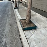 Curb & Sidewalk Issues at 11 Hallam St