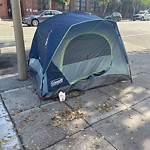 Encampment at 431 Arguello Blvd