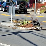 Parking & Traffic Sign Repair at 1397 Palou Ave