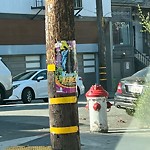 Illegal Postings at Intersection Of Clayton St & Page St
