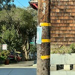 Illegal Postings at Intersection Of Central Ave & Page St