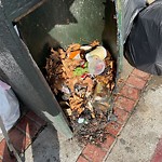 Garbage Containers at 198 Church St